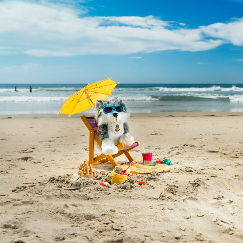 A Dog Sitting On A Beach Chair